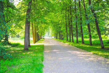 Spring Green Park in Oranienbaum (Lomonosov), Saint Petersburg, Russia clipart