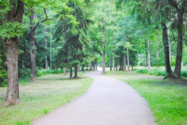 Bahar yeşil Park San (Lomonosov), Saint Petersburg, Rusya Federasyonu