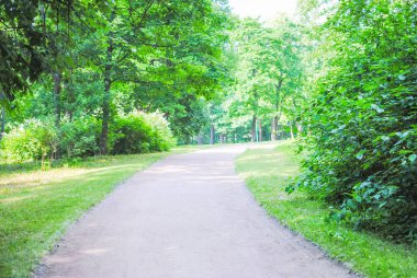 Rusya, St. Petersburg - 23 Haziran 2013: restorasyon sonrası açılmış görünümü yılları Selo park.