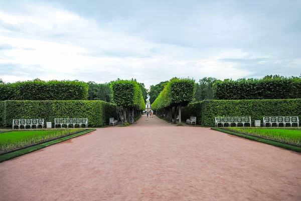 Parque Verde Tsarskoye Selo San Petersburgo Rusia — Foto de Stock