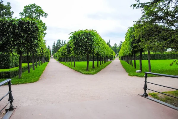 Zielony Park Carskie Sioło Sankt Petersburgu Rosja — Zdjęcie stockowe