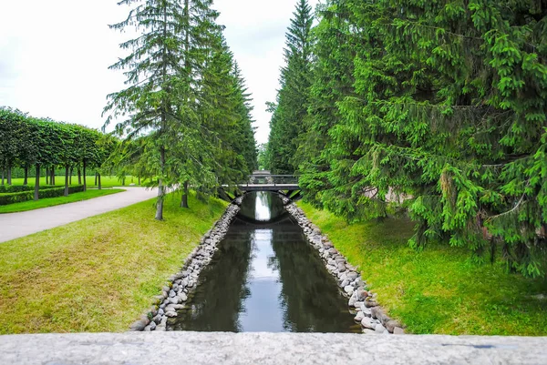 Zielony Park Carskie Sioło Sankt Petersburgu Rosja — Zdjęcie stockowe