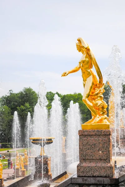 Rusia San Peterburgo Junio 2013 Peterhof Recibió Visitantes Después Restauración — Foto de Stock