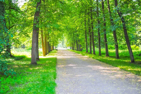 Spring Green Park in Oranienbaum (Lomonosov), Saint Petersburg, Russia