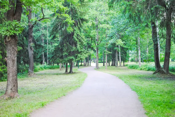 Bahar yeşil Park San (Lomonosov), Saint Petersburg, Rusya Federasyonu