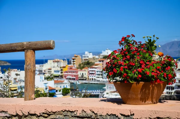 Grote Pot Met Bloemen Balkon — Stockfoto