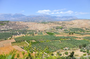 Panoramik Plato Girit Adası Yunanistan