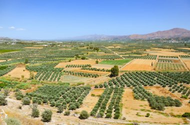 Panoramik Plato Girit Adası Yunanistan
