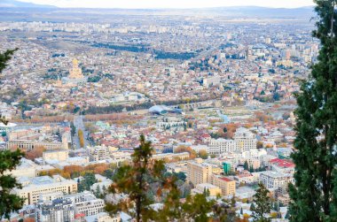 Tbilisi havadan görünümü gündüz