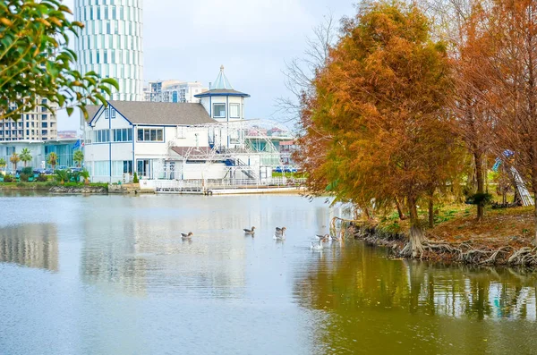 Gruzja Batumi Listopada 2014 Nowoczesne Budynki Wybrzeżu Morza Czarnego — Zdjęcie stockowe