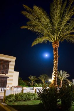 Güzel otel Mısır Arap gece adlı
