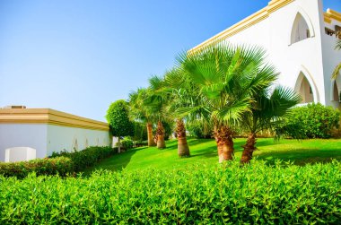 Mısır, Sharm El Sheikh - 04 Haziran 2015: otel ziyaret ve dekorasyon alan düzeyini değerlendirmek