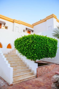 Arap Mısır, Şarm el-Şeyh otelde güzel bir akşam