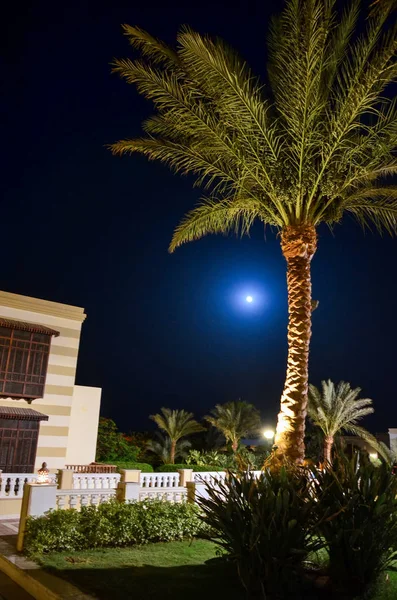 Piękny Hotel Egipt Arabskich Nocy — Zdjęcie stockowe