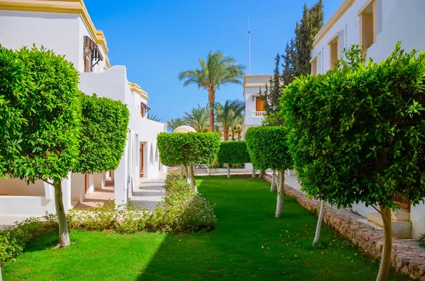 Egypte Sharm Sheikh Juin 2015 Visite Hôtels Évaluation Niveau Décoration — Photo