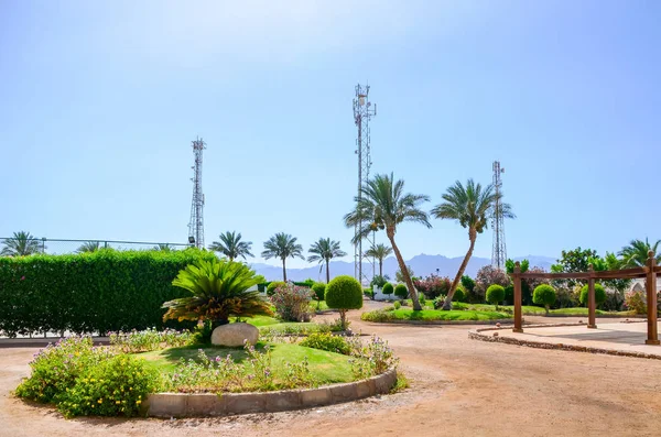 Egipt Sharm Sheikh Czerwca 2015 Zwiedzanie Hoteli Oceny Poziomu Zdobienia — Zdjęcie stockowe