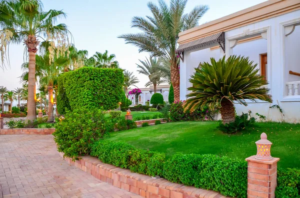 Seară Frumoasă Hotelul Din Egiptul Arabic Sharm Sheikh — Fotografie, imagine de stoc