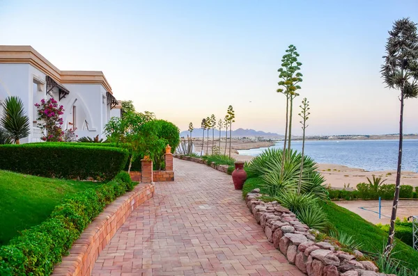 Beautiful evening at hotel of Arabic Egypt, Sharm el-Sheikh