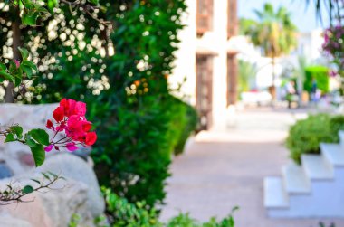 Mısır, Sharm El Sheikh - 05 Haziran, 2015: lüks otelin dış