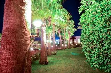 Güzel otel Mısır Arap gece adlı