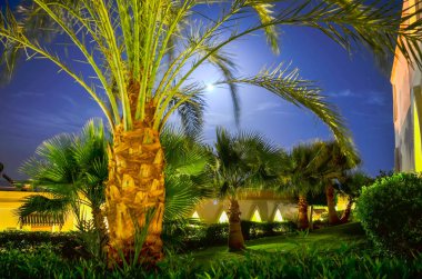 Güzel otel Mısır Arap gece adlı