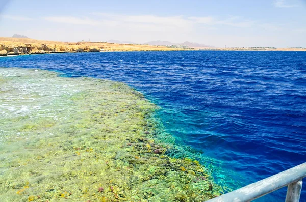 Коралловый Риф Море Водой Шарм Эль Шейх Египет — стоковое фото