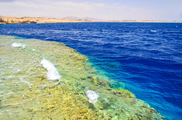 エジプト シャルム シェイク 水中のサンゴ礁 — ストック写真