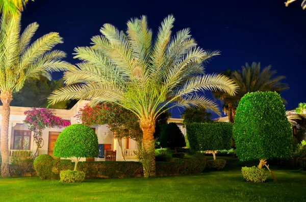 Hermoso Hotel Egipto Noche Árabe — Foto de Stock