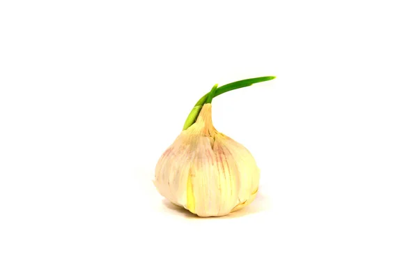 Garlic Integral Part Many Delicious Dishes White Background — Stock Photo, Image