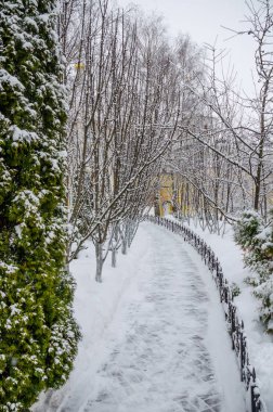 Beyaz Rusya, St Elisabeth Manastırı Ortodoks Kilisesi