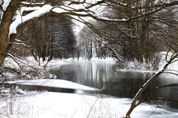 Malerischer Zugefrorener Fluss Weißen Winterwald — Stockfoto