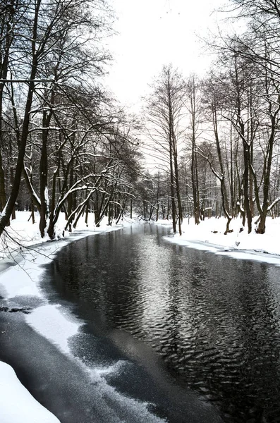 Живописная Замерзшая Река Белом Зимнем Лесу — стоковое фото