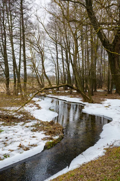 Rio Sinuoso Que Flui Através Neve Primavera — Fotografia de Stock