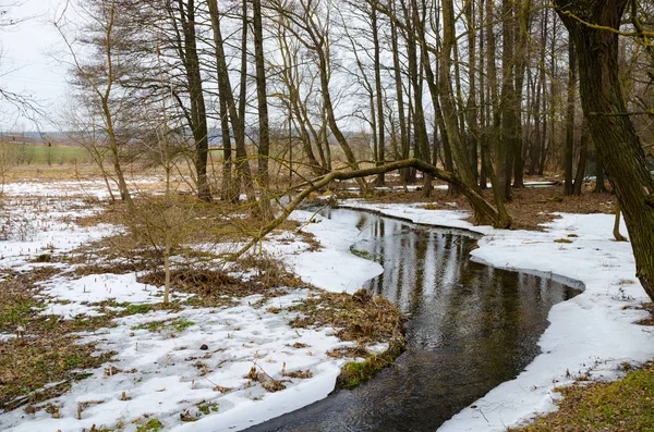 Der Gewundene Fluss Fließt Durch Den Frühlingsschnee — Stockfoto