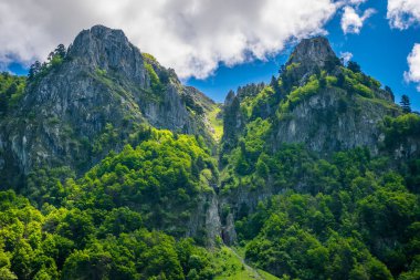 Yüksek sivri kayalar arka plan üzerinde doğal yeşil çayır