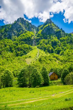 Yüksek sivri kayalar arka plan üzerinde doğal yeşil çayır