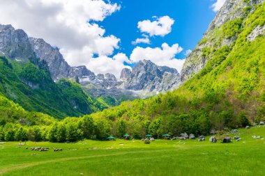 Yüksek sivri kayalar arka plan üzerinde doğal yeşil çayır