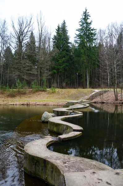 Steinbrücke Über Fluss Wald — Stockfoto