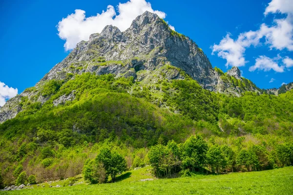 Landschaftlich Schöne Grüne Wiese Vor Dem Hintergrund Hoher Gipfel Felsen — Stockfoto