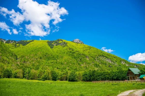 Scenic Green Meadow Background High Peaked Rocks — Stock Photo, Image