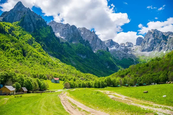 在高山附近风景如画的绿色乡村草地 — 图库照片