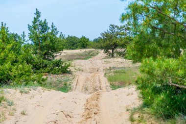 Sandy yol yarışmaları için yolda