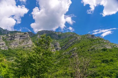 Kanyonlar Nehri Moraca sarp dağ yamaçlarında