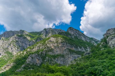 Kanyonlar Nehri Moraca sarp dağ yamaçlarında
