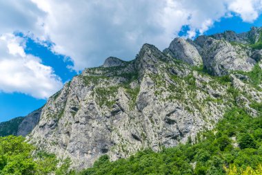 Kanyonlar Nehri Moraca sarp dağ yamaçlarında