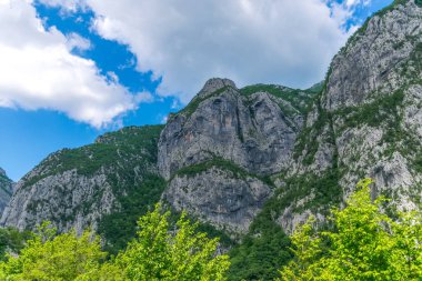 Kanyonlar Nehri Moraca sarp dağ yamaçlarında