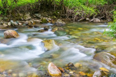 Kolasinskaya Nehri hızlı akış Kolašin, Karadağ için görünümü Kapat