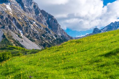 Peyzaj dağlar Komovi, Karadağ doğal görünümü