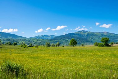 Dağ doruklarına Karadağ arasında alışılmadık Plav Gölü