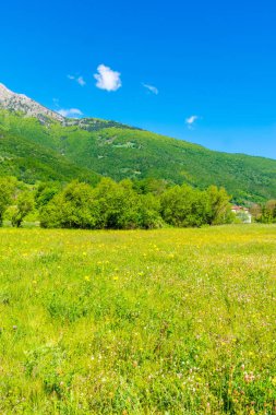 Dağ doruklarına Karadağ arasında alışılmadık Plav Gölü